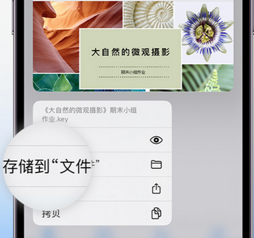 乃东apple维修中心分享iPhone文件应用中存储和找到下载文件