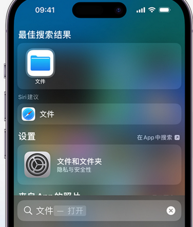 乃东apple维修中心分享iPhone文件应用中存储和找到下载文件 