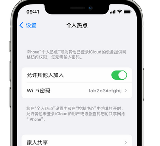 乃东apple服务站点分享iPhone上个人热点丢失了怎么办 