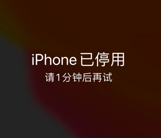 乃东苹果手机维修分享:iPhone 显示“不可用”或“已停用”怎么办？还能保留数据吗？ 