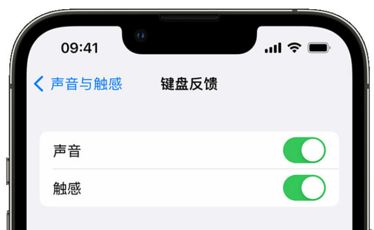 乃东苹果手机维修分享iPhone 14触感键盘使用方法 