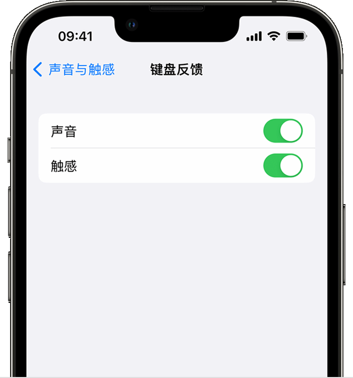 乃东苹果14维修店分享如何在 iPhone 14 机型中使用触感键盘 