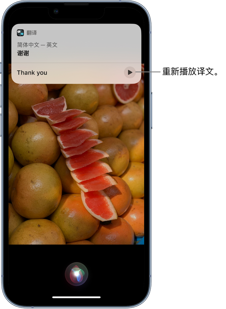 乃东苹果14维修分享 iPhone 14 机型中使用 Siri：了解 Siri 能帮你做什么 