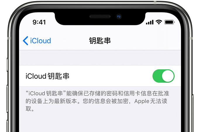 乃东苹果手机维修分享在 iPhone 上开启 iCloud 钥匙串之后会储存哪些信息 