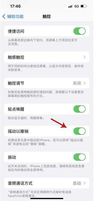 乃东苹果手机维修分享iPhone手机如何设置摇一摇删除文字 